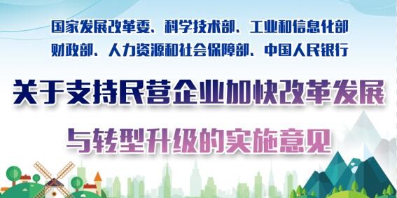 關(guān)于支持民營企業(yè)加快改革發(fā)展與轉(zhuǎn)型升級的實(shí)施意見